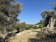 Sfakaki Kreta, Sfakaki: Grundstück mit Meerblick und Baugenehmigung für 3 Villas zu verkaufen Grundstück kaufen